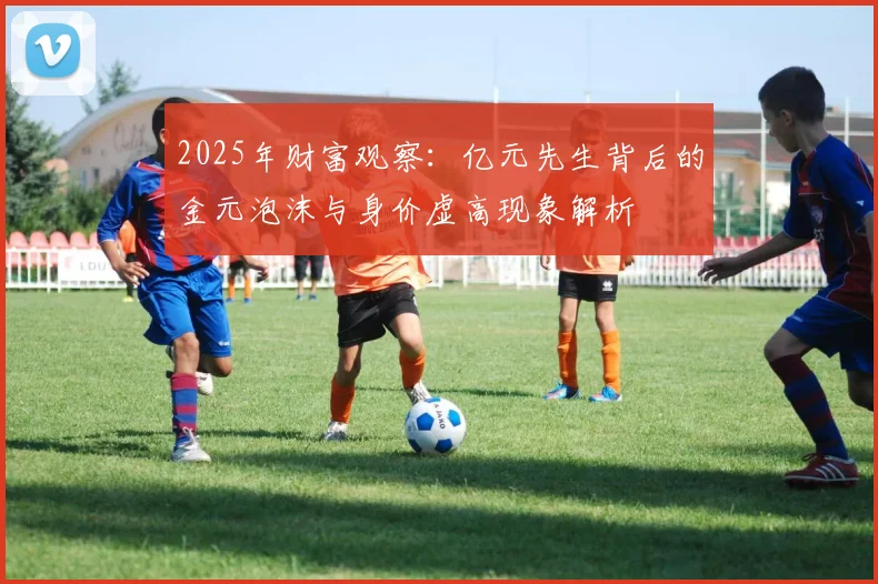 2025年财富观察：亿元先生背后的金元泡沫与身价虚高现象解析