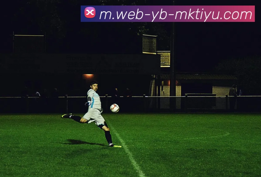 MK体育平台生态图